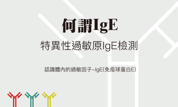 认识体内的过敏因子